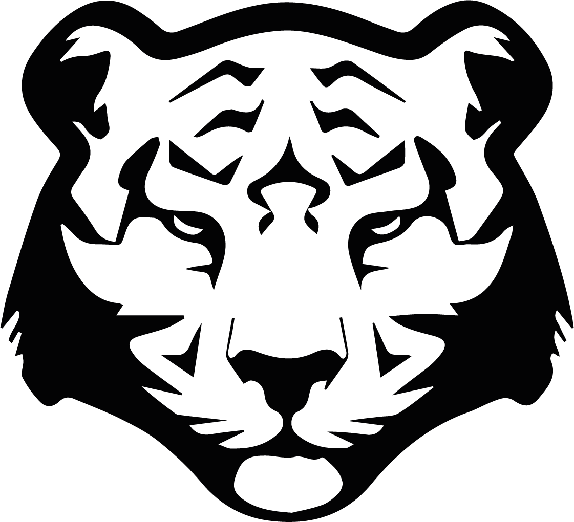 image-qui-sommes-nous-black-tiger