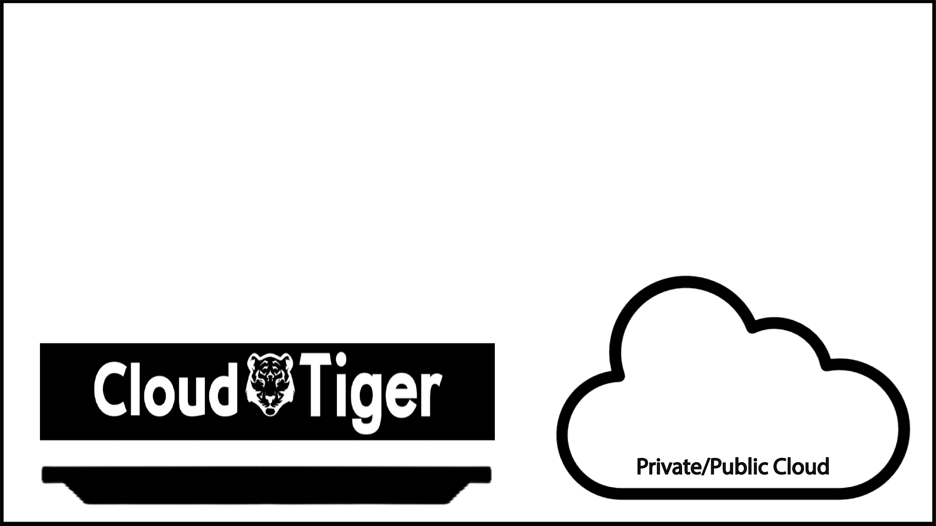 Cloud Tiger-customer-data-platform-black-tiger