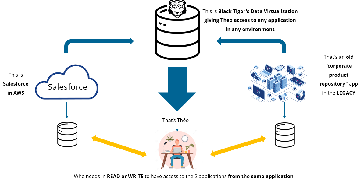 schéma-customer-data-platform-black-tiger