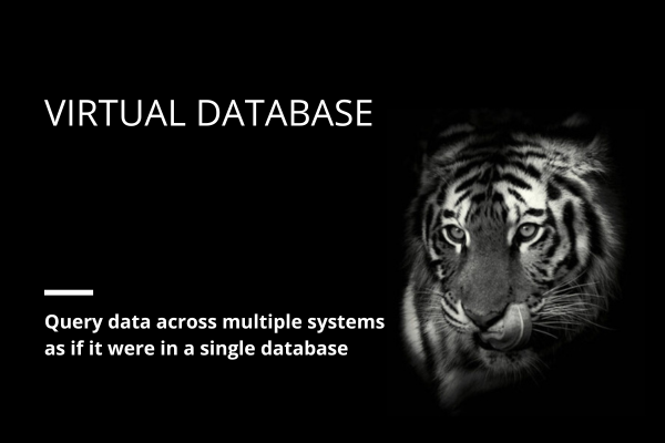 Virtual Database : Query data across multiple systems as if it were in a single database